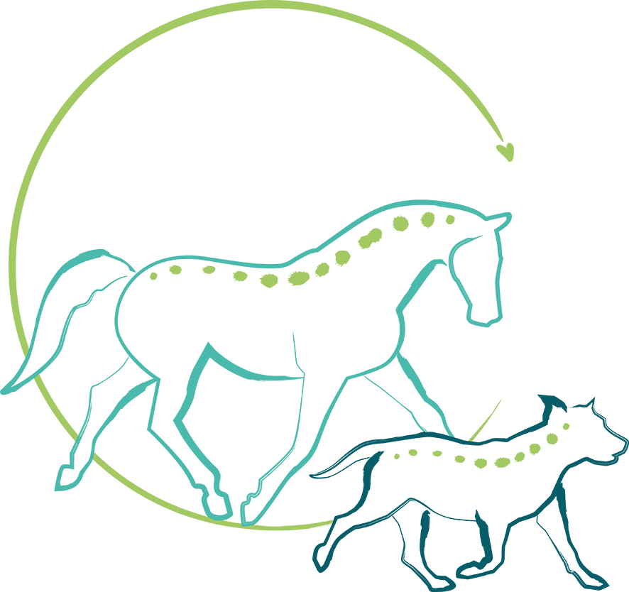 Franziska Stamer Tierphysiotherapie