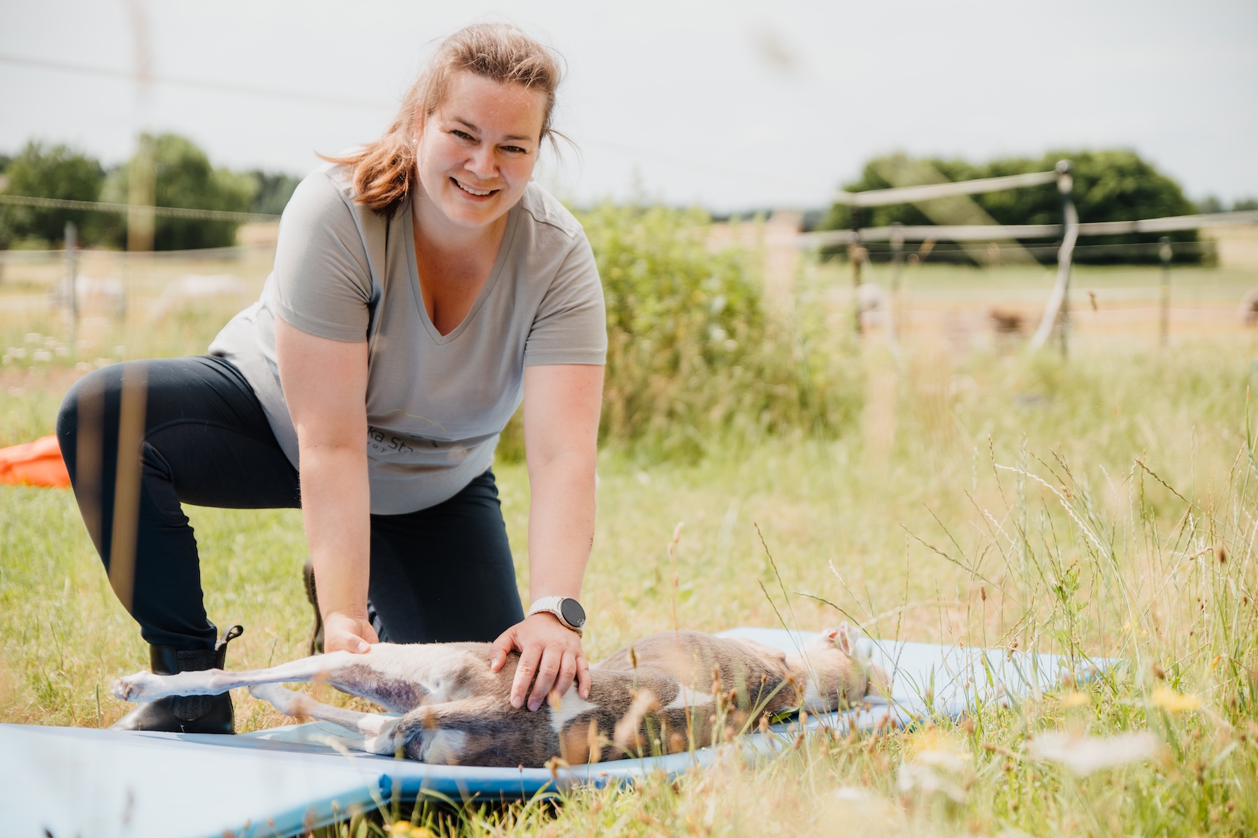 physiotherapeutische Untersuchung eines Hundes